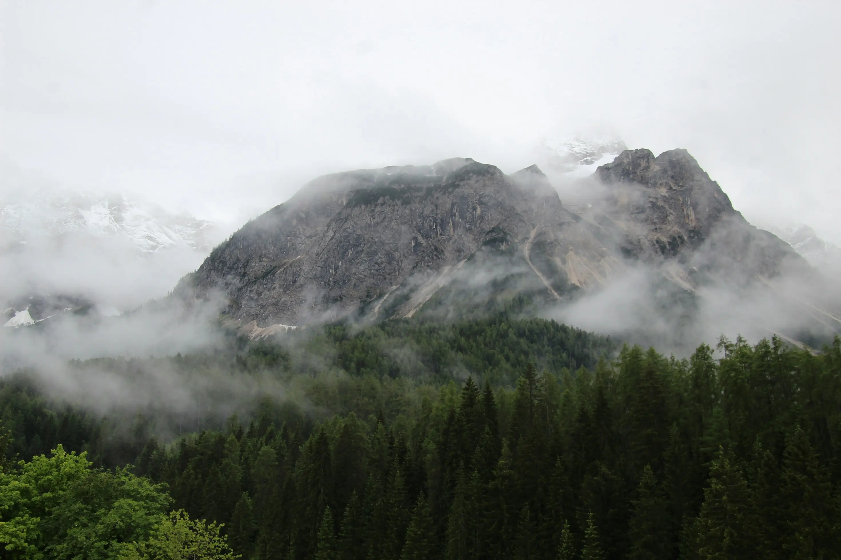 Kaffeeplantagen und Berglandschaft in den Anden; Coffee Los Andes — Ursprung, Erfahrung und Vertrauen