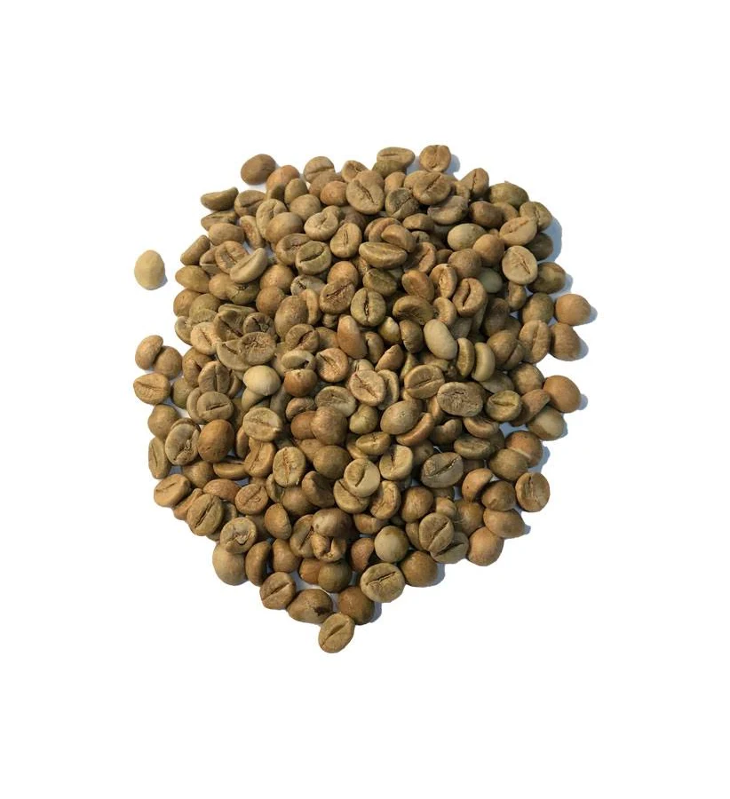 Castillo coffee beans from Venezuela