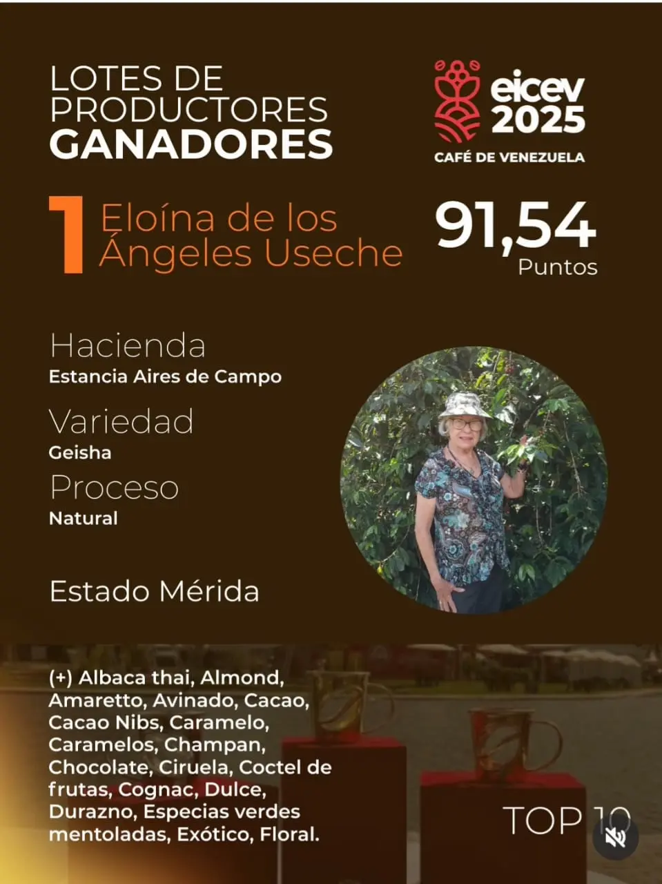 Premium Geisha coffee beans from Venezuela