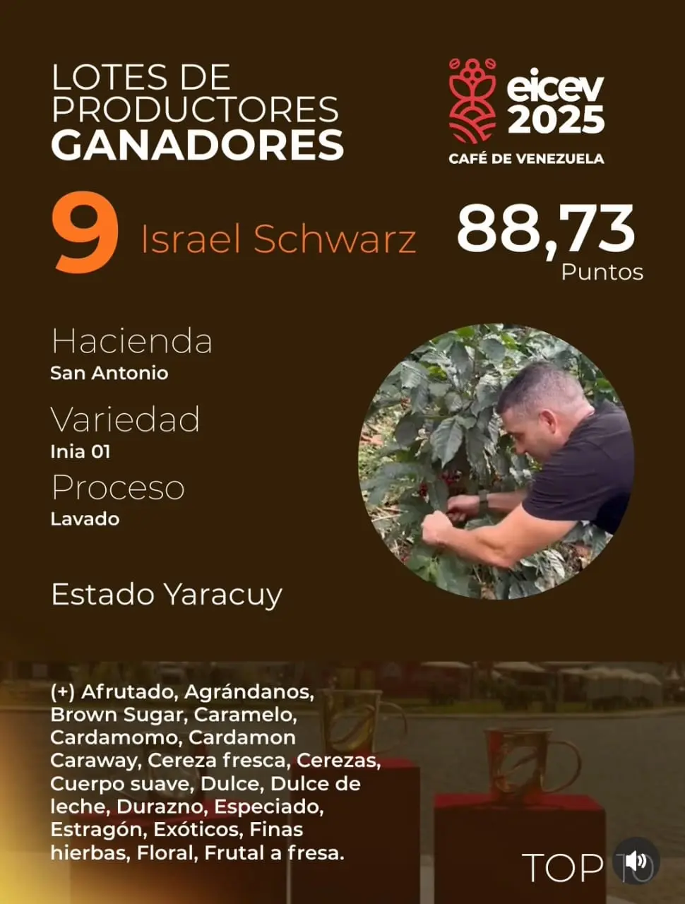 Inia coffee beans for professional roasting