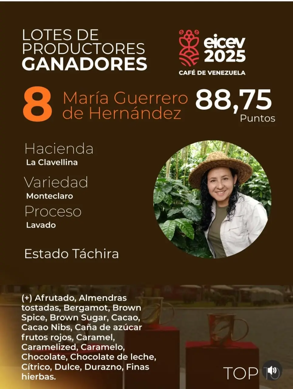 Monteclaro coffee beans from Venezuela