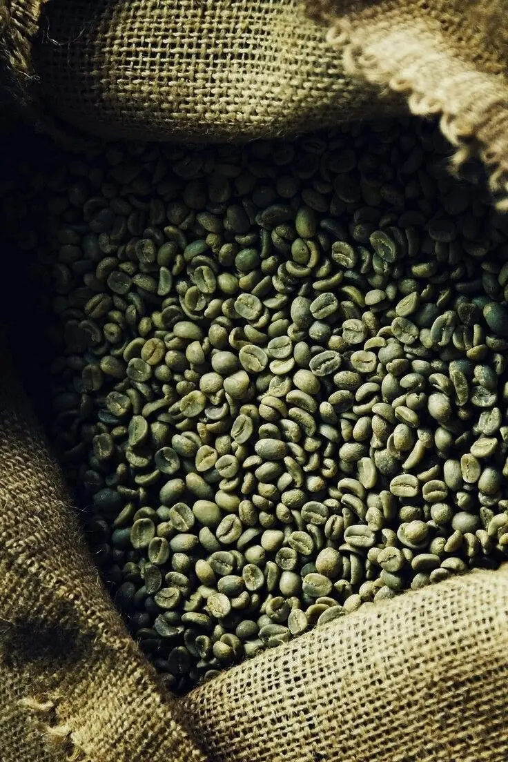 Bourbon Premium Kaffeebohnen aus Venezuela