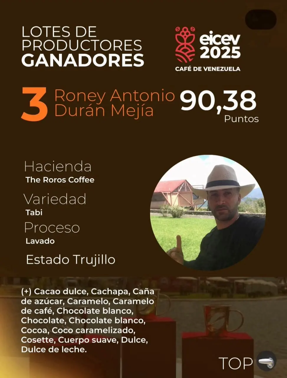 Tabi coffee beans for specialty roasting