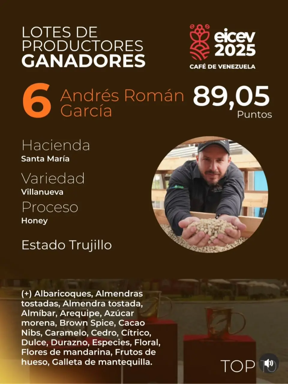 Villanueva coffee beans for wholesale supply